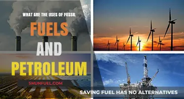 Fossil Fuels and Petroleum: Powering Our World