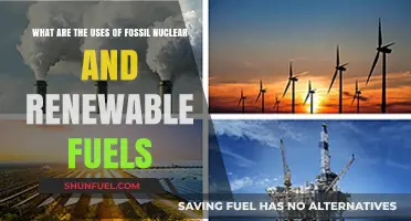 Fossil, Nuclear, and Renewable Energy: Exploring Their Uses