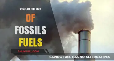 Exploring the Diverse Applications of Fossil Fuels in Modern Life