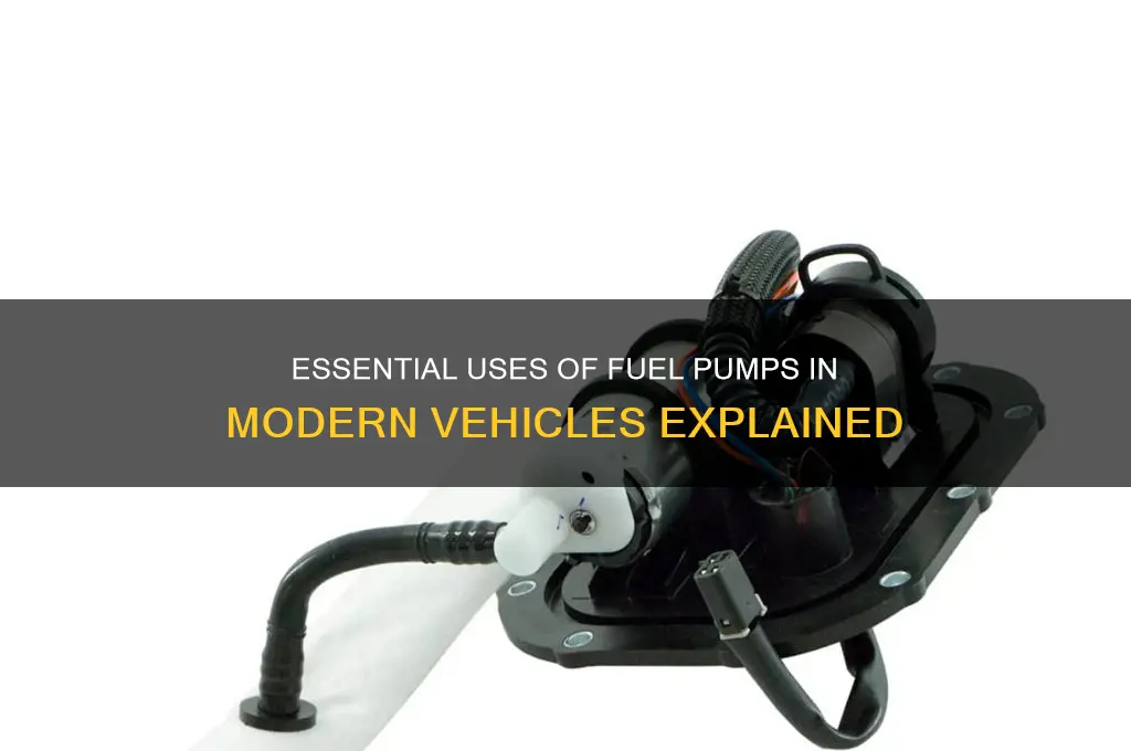 what are the uses of fuel pump