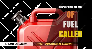 Unveiling the Mystery: What Are Those Red Cans of Fuel Called?