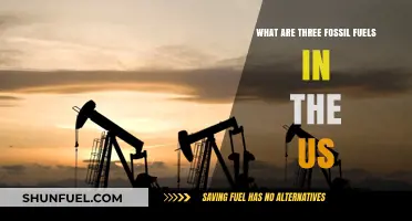 Fossil Fuel Trio: US Energy Sources
