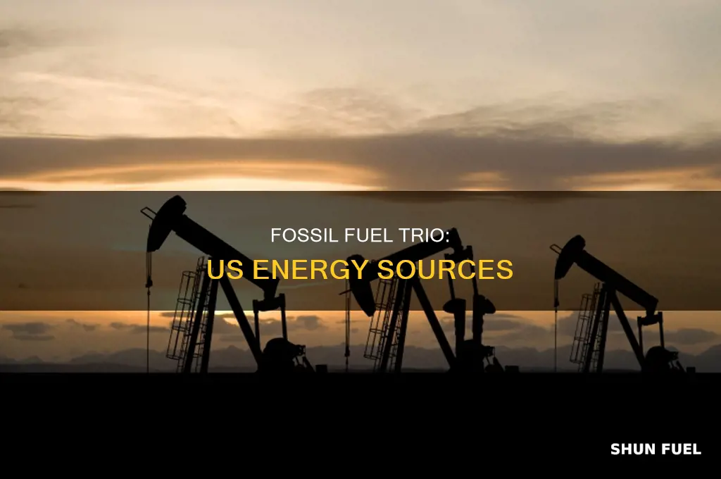 what are three fossil fuels in the us