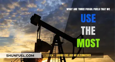 Fossil Fuels: Top 3 Energy Sources We Depend On