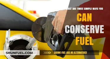Easy Fuel-Saving Tips: Three Simple Ways to Conserve Fuel