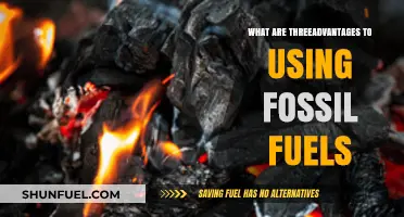 Fossil Fuels: Power, Abundance, and Accessibility