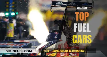 Fuel Cars: Top Speed, Power, and Performance Machines