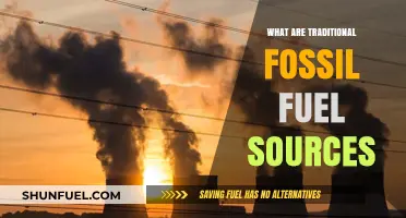The Evolution of Fossil Fuel Sources