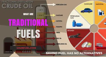 Exploring Traditional Fuels: Types, Uses, and Environmental Impacts