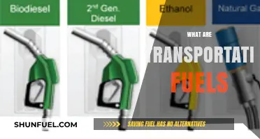 Understanding Transportation Fuels: Types, Uses, and Environmental Impact
