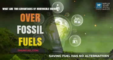 Renewable Energy: Efficient, Eco-Friendly Power Sources