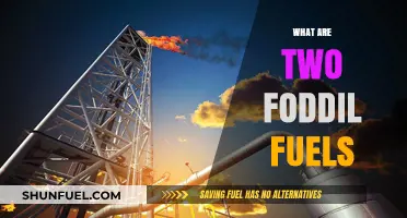 Exploring Two Fossil Fuels: Coal and Oil's Impact on Energy