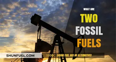 Fossil Fuels: Two Key Energy Sources Explained