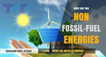 Non-Fossil Fuel Energy Options: Solar and Wind Power