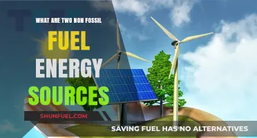 Exploring Clean Energy Alternatives: Non-Fossil Fuel Sources