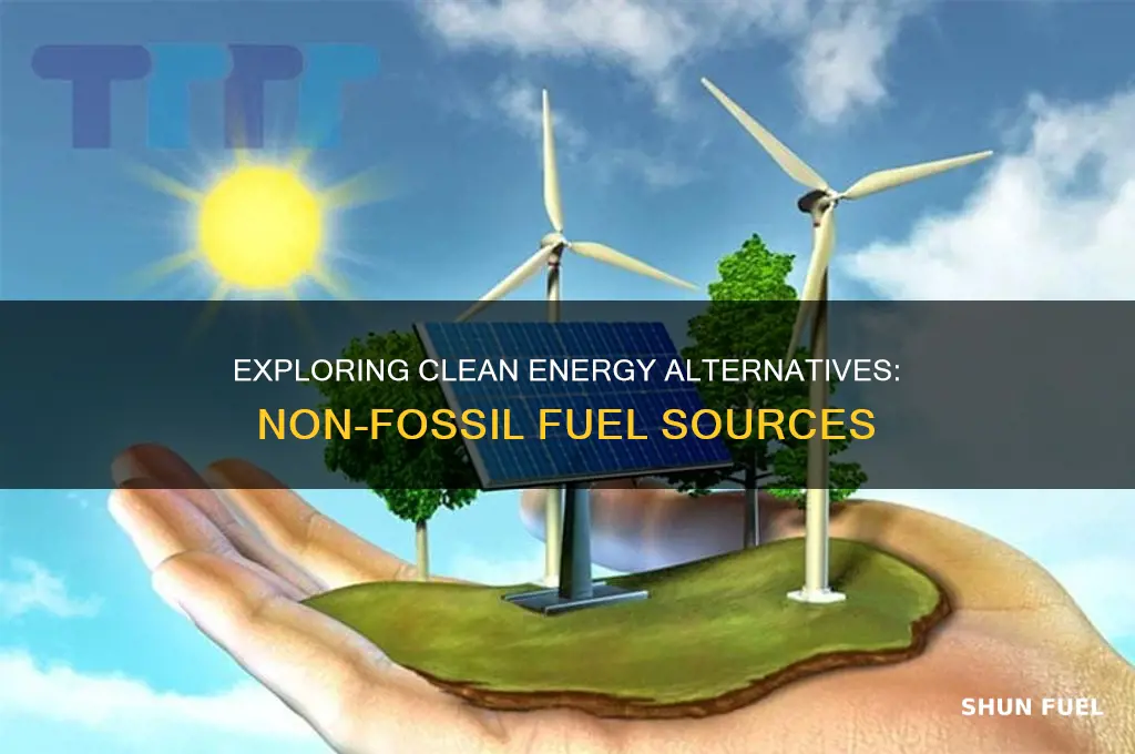what are two non fossil fuel energy sources