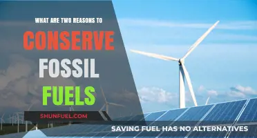 Conserving Fossil Fuels: Future-Proofing Our Energy and Environment