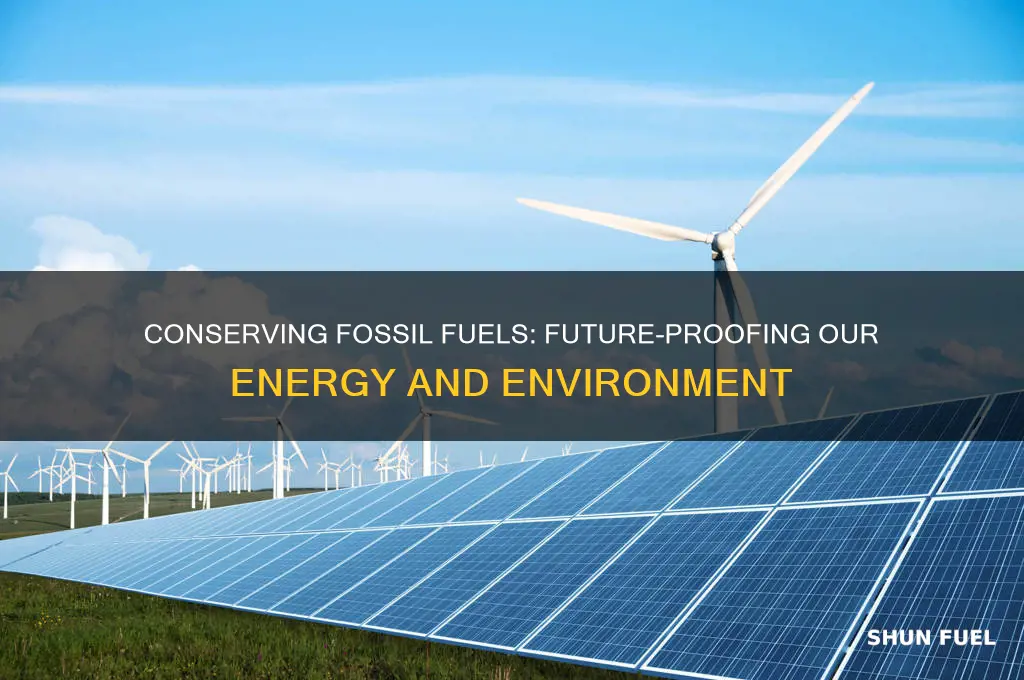 what are two reasons to conserve fossil fuels