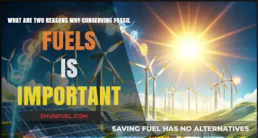 Fossil Fuels Conservation: Crucial for Future Energy Security