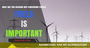 Fossil Fuel Conservation: Crucial for Energy Security and Climate