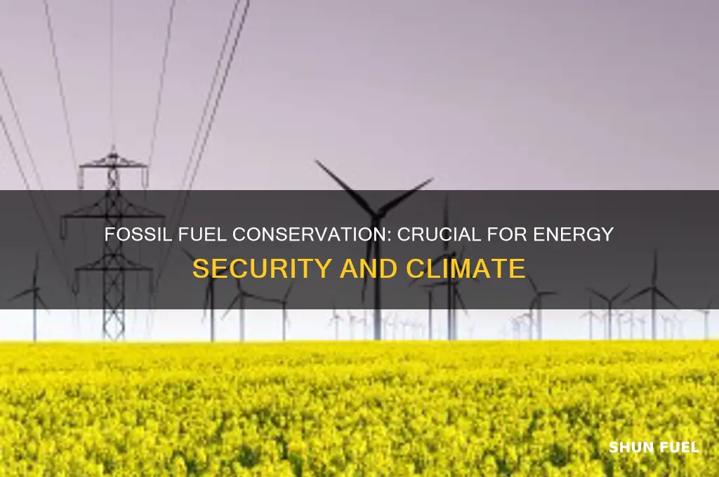 what are two reasons why conserving fossils fuels is important