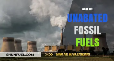 The Dark Side of Fossil Fuels: Unabated Emissions