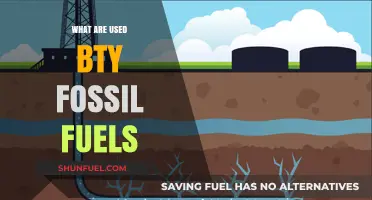 Fossil Fuels: Powering Our World, But at What Cost?