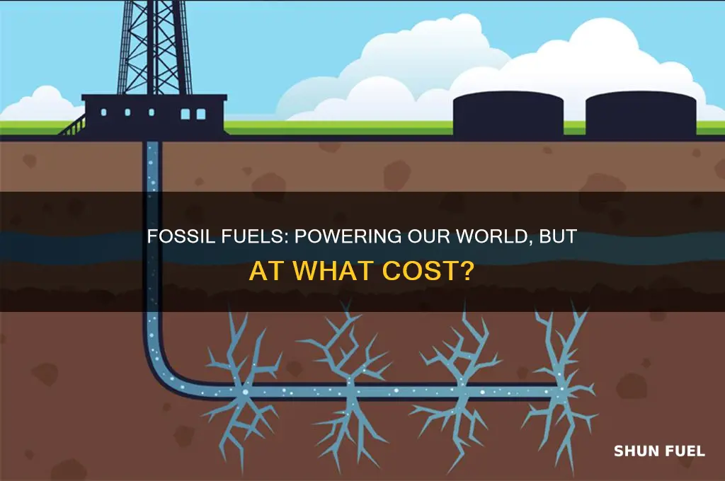 what are used bty fossil fuels