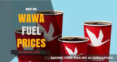 Wawa Fuel Prices: Understanding Costs and Savings at the Pump