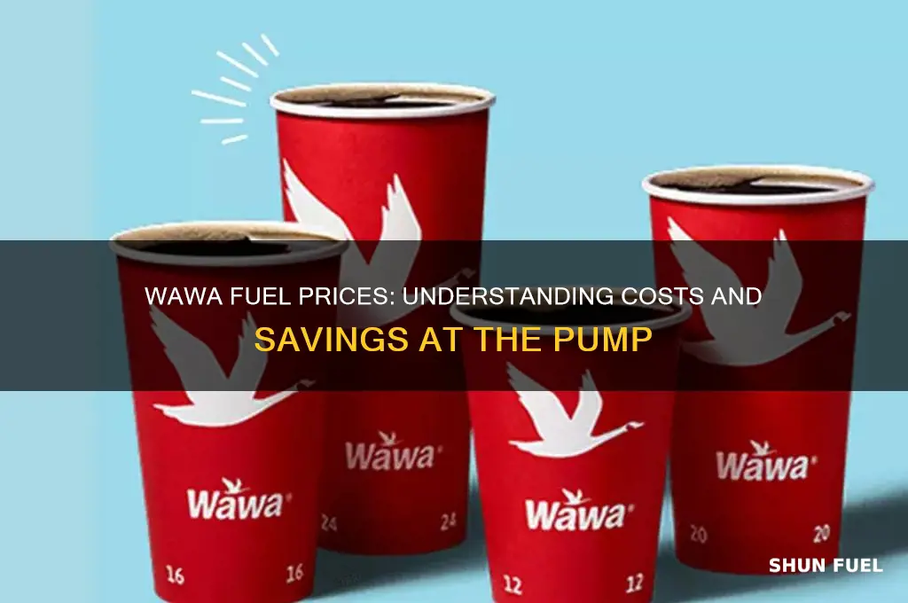 what are wawa fuel prices