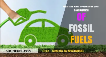 Conserving Fossil Fuels: Tips for a Sustainable Future