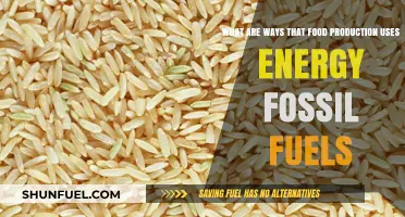 Energy-Intensive Food Production: Fossil Fuel Usage