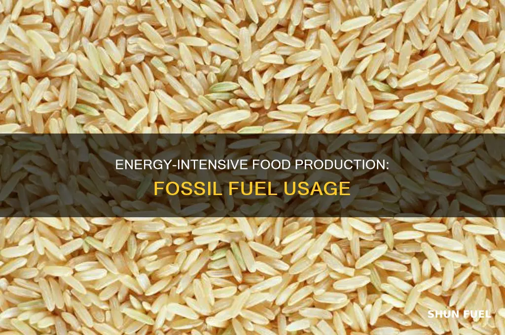 what are ways that food production uses energy fossil fuels