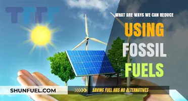 Green Alternatives: Reducing Our Fossil Fuel Dependence