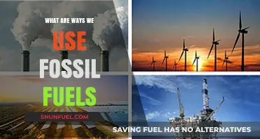 Fossil Fuels: Powering Our Daily Lives