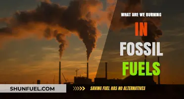 Unraveling the Mystery of Fossil Fuels' Combustion