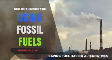 Unveiling the Hidden Costs: What Fossil Fuel Combustion Truly Burns