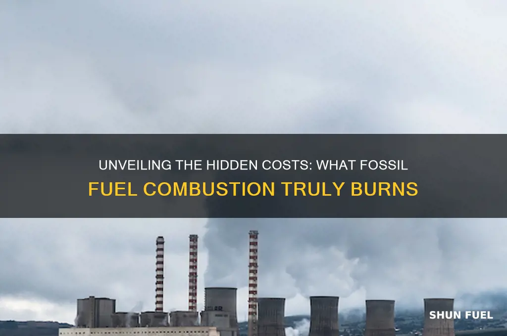 what are we burning when using fossil fuels