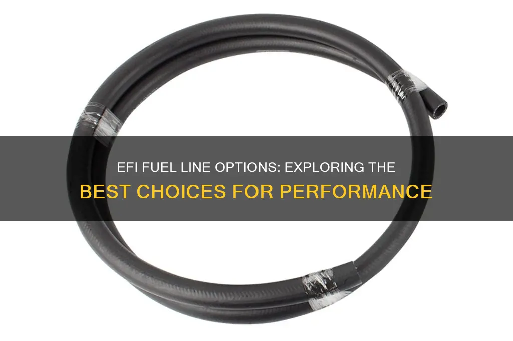 what are you guys using for fuel lines on efi