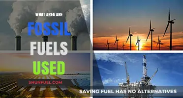 Fossil Fuels: Powering Our World, Past and Present