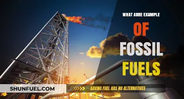 Examples of Fossil Fuels: Gas, Oil, and Coal