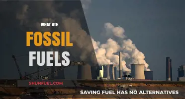 The Dark Side of Fossil Fuels