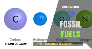 The Chemistry of Fossil Fuels: Atomic Composition