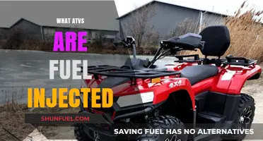 Fuel-Injected ATVs: Exploring Models, Benefits, and Top Picks for Riders