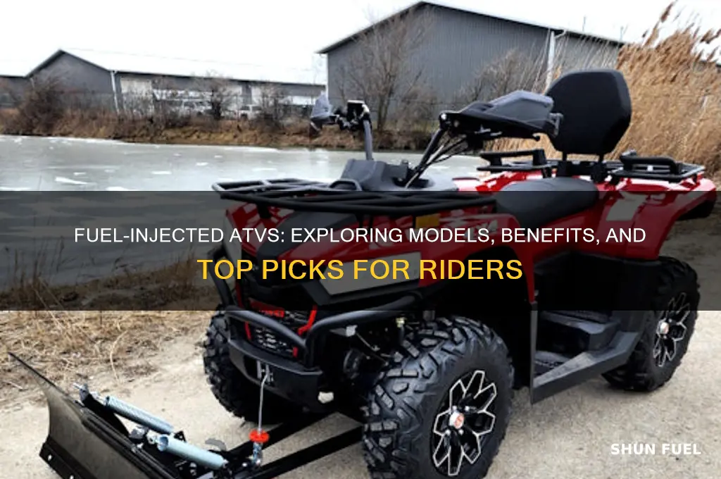 what atvs are fuel injected