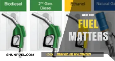 Understanding Auto Fuel Types: What Matters Most for Your Vehicle