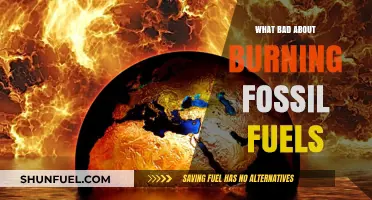 Fossil Fuels: Burning Questions and Dire Consequences