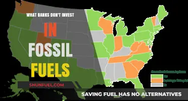 Fossil-Free Finance: Banks Divesting from Fossil Fuels
