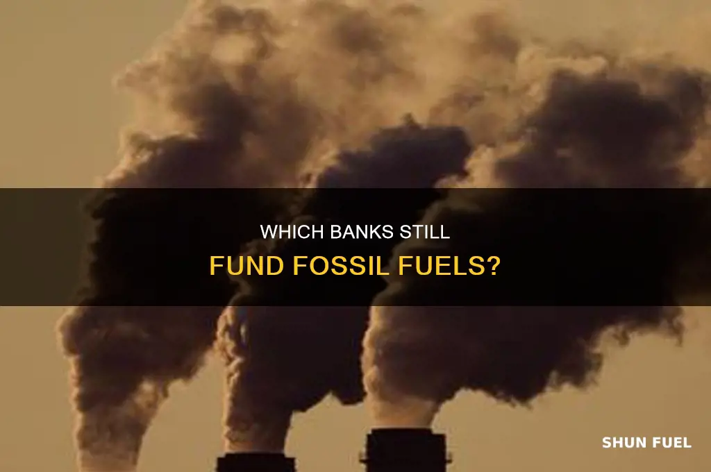 what banks fund fossil fuels