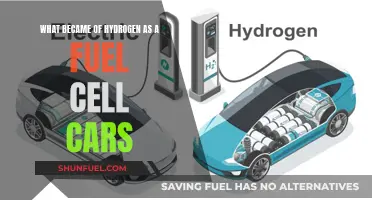 Hydrogen Fuel Cell Cars: Where Are They Now?